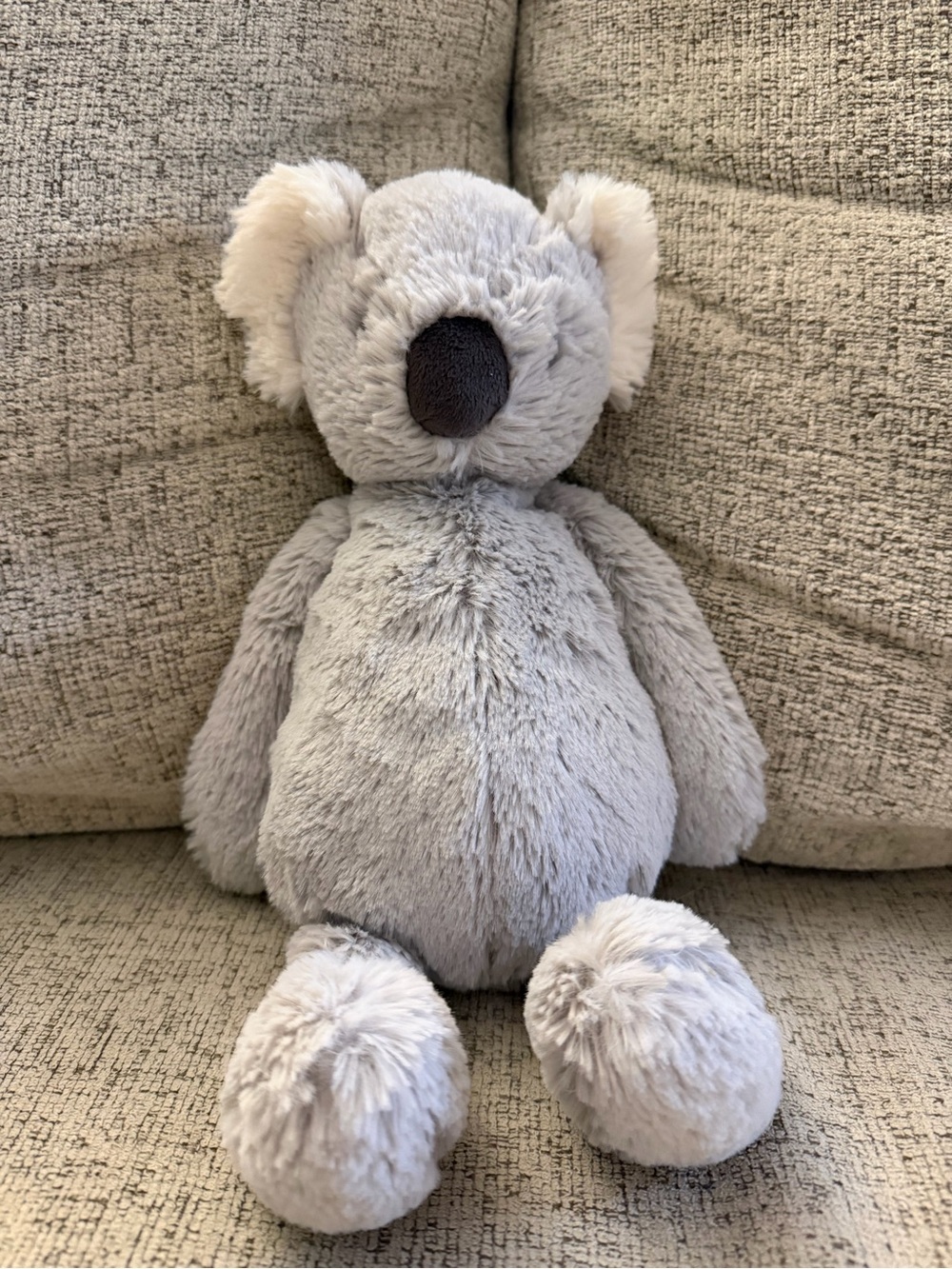 Retired Jellycat Bashful Koala